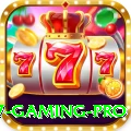 Pak77 Gaming Pro